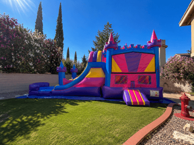 Premium 27ft royal palace dual lane water slide bounce house combo rental in Las Vegas.