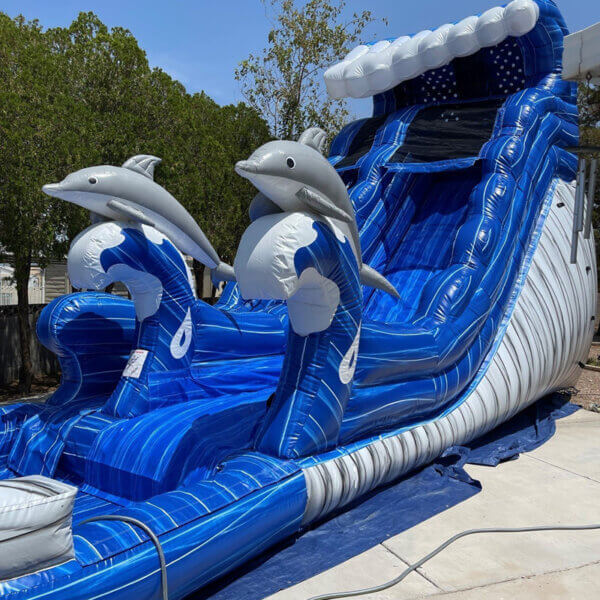 19 ft Dolphins Waterslide
