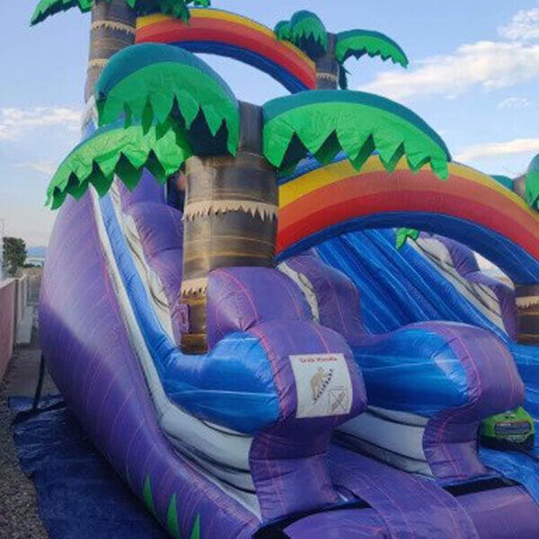 16 ft Purple Paradise